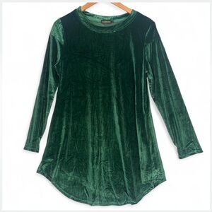NWT Emerald Green Velvet Tunic Top Long Sleeve Size L